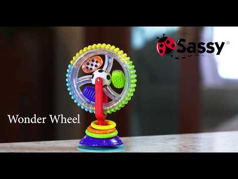 sassy wonder wheel toy