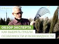 Как выбрать грабли. Особенности и разновидности