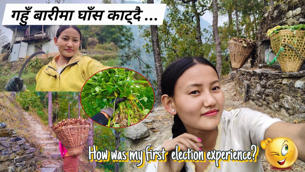 Chunab ko mahol sakiyo teta tira ? 😁 malai tw lagdai xa hai alili || village vlog|| gaughar ❤️