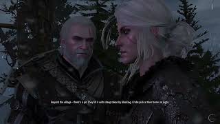 The Witcher 3 | Visit Skjalls Grave