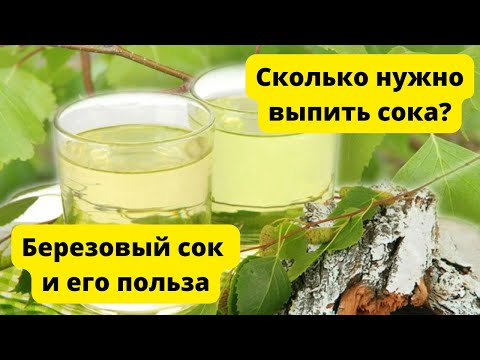Березовый сок. Зачем его пьют? Польза и вред березового сока.