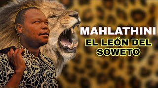 MAHLATHINI EL LEÓN DEL SOWETO