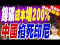 印尼國家經濟委員會主席:我告訴印尼總統"不管喜歡與否，中國仍是最大投資者"｜鎳礦成本增200% 中國掐死印尼｜介文汲.栗正傑.黃介正深度剖析?【張雅婷辣晚報】精華版 @中天新聞CtiNews