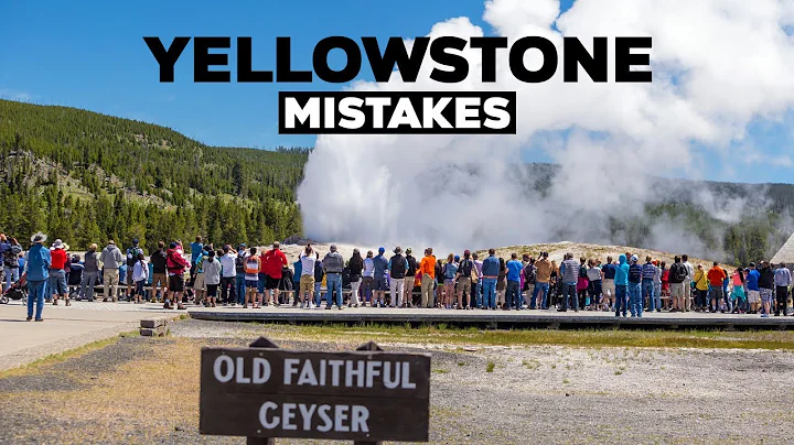 Yellowstone National Park Mistakes! Don't Do This On Your Vacation