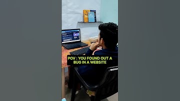 Programmer finds a Bug in Website 🐞