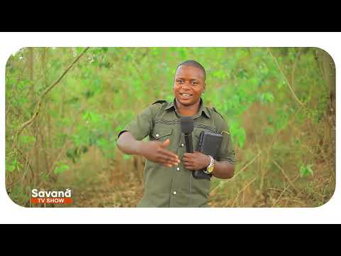 NGUBU UBUHANUZI BWOSE BWO KURI LE 30 Aya MAGARE Akirangira Mube Maso IGITAMBO Cyamaze GUTAMBWA