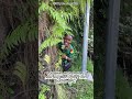 Muhammed #funny #fypシ #trendingshorts  #shorts