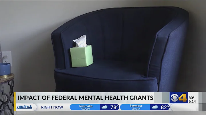 Indiana nonprofits using grants to expand mental health services