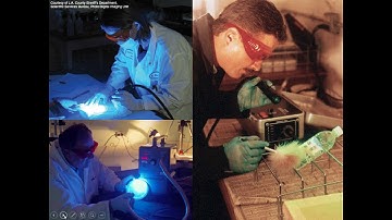 Alternate Light Sources L19 4380