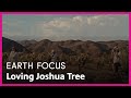 Loving Joshua Tree | Earth Focus | Season 5, Episode 4