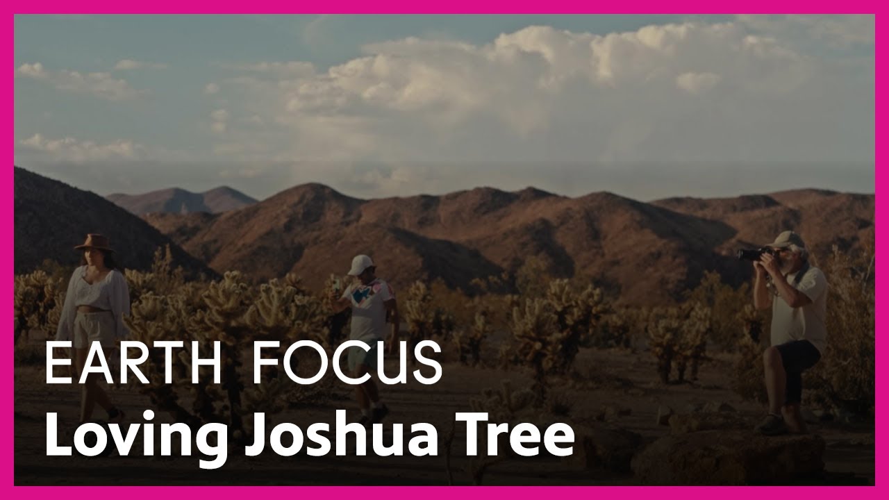 Loving Joshua Tree | Earth Focus | Season 5, Episode 4