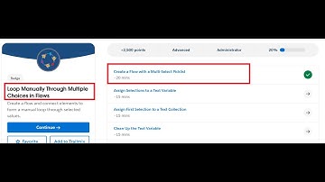 Create a Flow with a Multi-Select Picklist | Loop Manually Through Multiple Choices in Flows