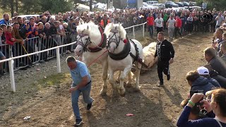 - ORKAN I OMER OD SIMIĆA UZORALI ZLATIBOR I JURIŠAJU NA BALKAN -