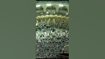 #القرآن_الكريم #quran من سورة المائدة