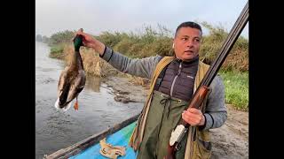 صيد بط احترافى مهارات الرمايه الخاصه بصيد البط البرى الخضاري Duck Hanting in Egypt