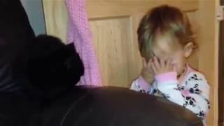 Baby stroked cat and gets scratched. So sad and cute.