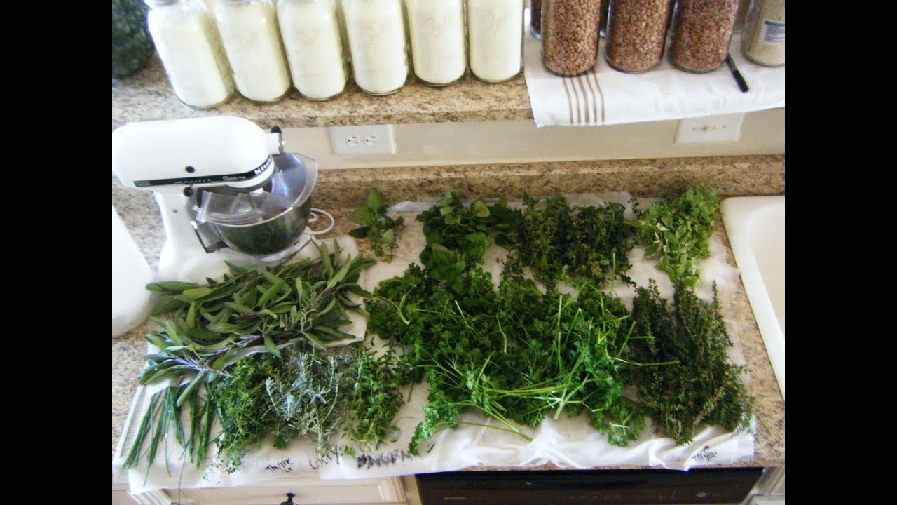 Homestead Series How To Cut And Dry Herbs Youtube