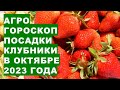 Агрогороскоп посадки клубники в октябре 2023 Agrohoroscope for planting strawberries in October 2023