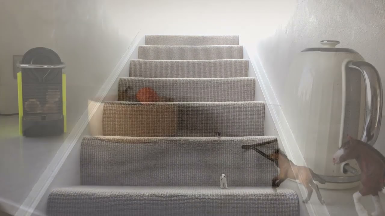 Short Schleich stop motion