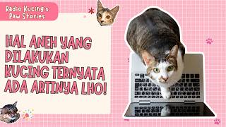 HAL ANEH YANG DILAKUKAN KUCING TERNYATA ADA ARTINYA LHO!😻 | Radio Kucing's Paw Stories #86