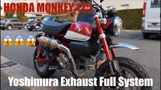 Honda Monkey 125 Yoshimura Exhaust Comparison VS Stock Exhaust