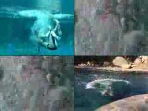 Jill Jordan Stars in the Sanyo Underwater E1 Web C...