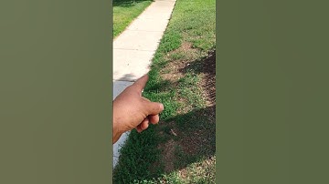 power edge plus install plastic edging