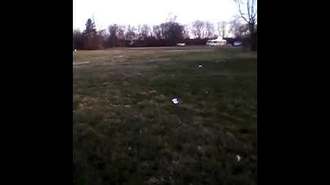 Range test between modded hammershot and proton