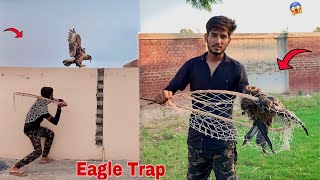 Eagle ky Bachy  ko Aj  Paker Liya| |