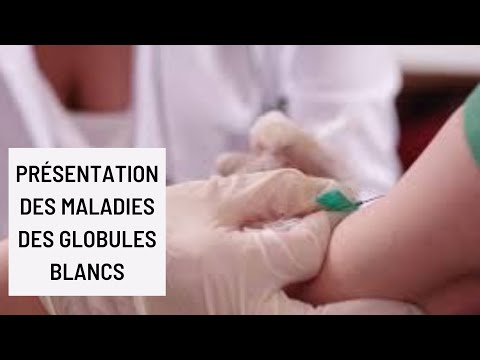 Présentation des maladies des globules blancs