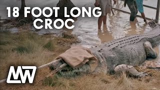 Matt Wright Catches 18-Foot Long (5M) Crocodile! | Matt Wright