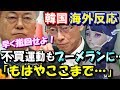 【韓国・海外の反応】日本製品不売運動も自らの首を絞めるブーメランに…日本「まずはフッ化水素から」