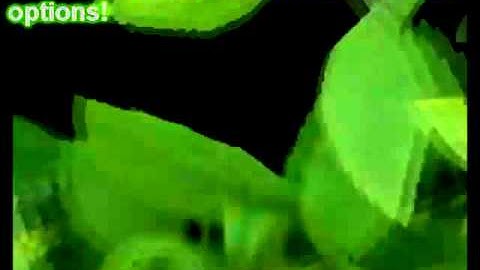 Pikmin - Japanese Exclusive Option - Enable Annotations -