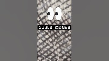 Guess what it is? #guess what#macro challenge#focus #focus mystery#short#guess