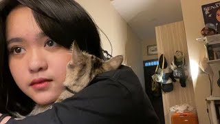  Showroom Adel Jkt48  6323