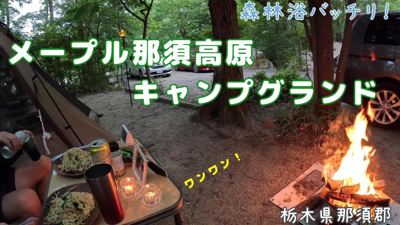 【メープル那須高原キャンプグランド】急遽、前日に予約して行ってみたら･･･