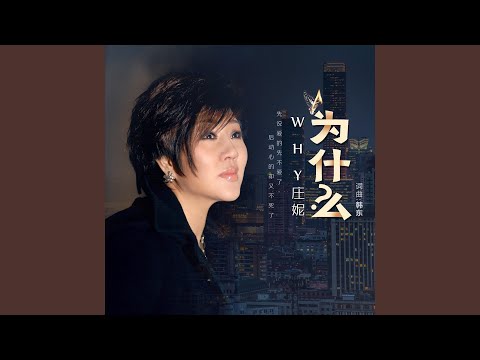为什么 (DJ何鹏版伴奏)