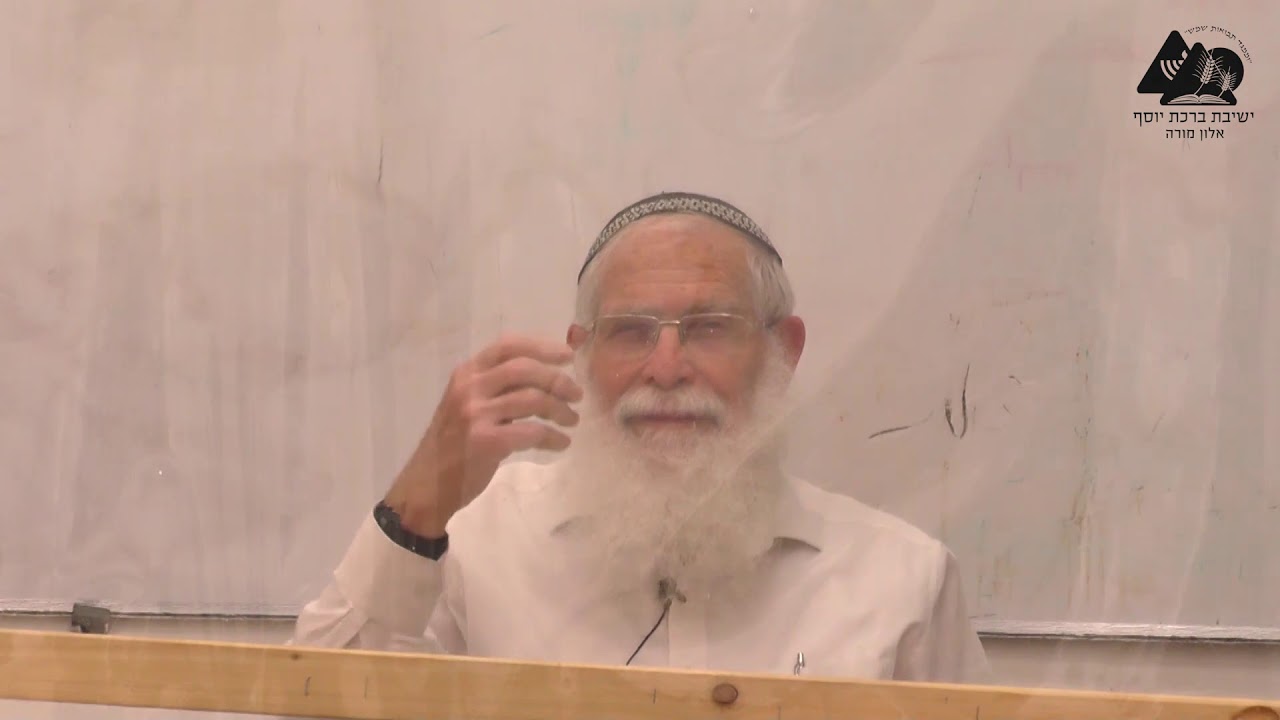 מהות כנסת ישראל | הרב אליקים לבנון | נפש החיים | 14