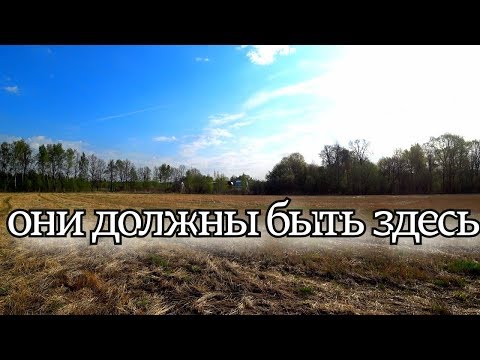 HolidayNews Казино за 10 копеек
