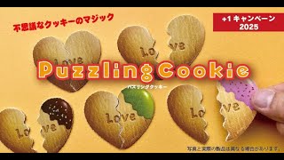 Puzzling Cookie By Tenyo Seo Magic