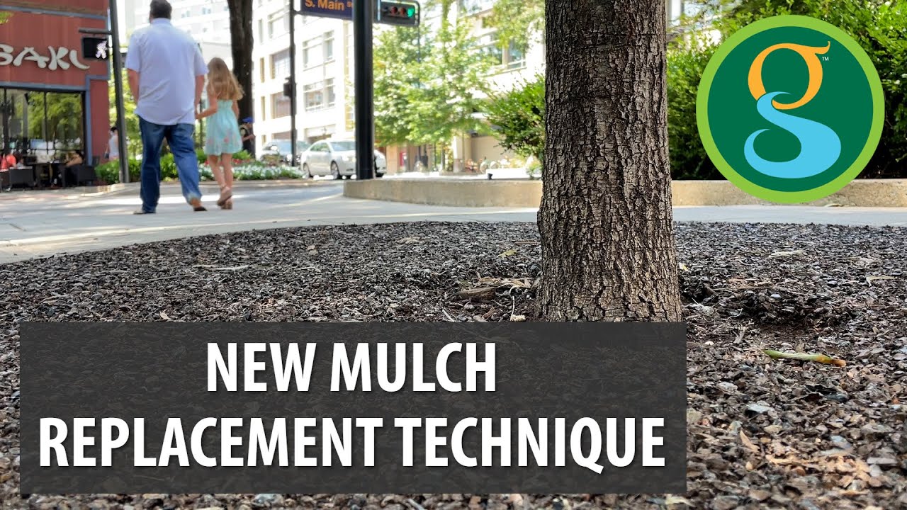 City Replaces Mulch with Flexible Pavement, Saving Trees and Money
