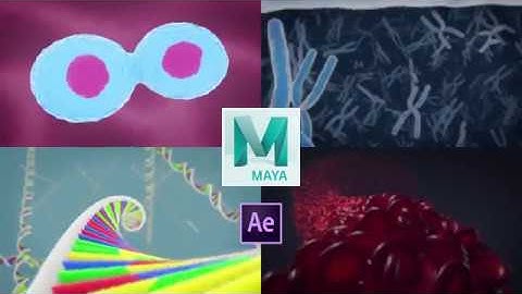 3D Medical Animation in Autodesk Maya - promo