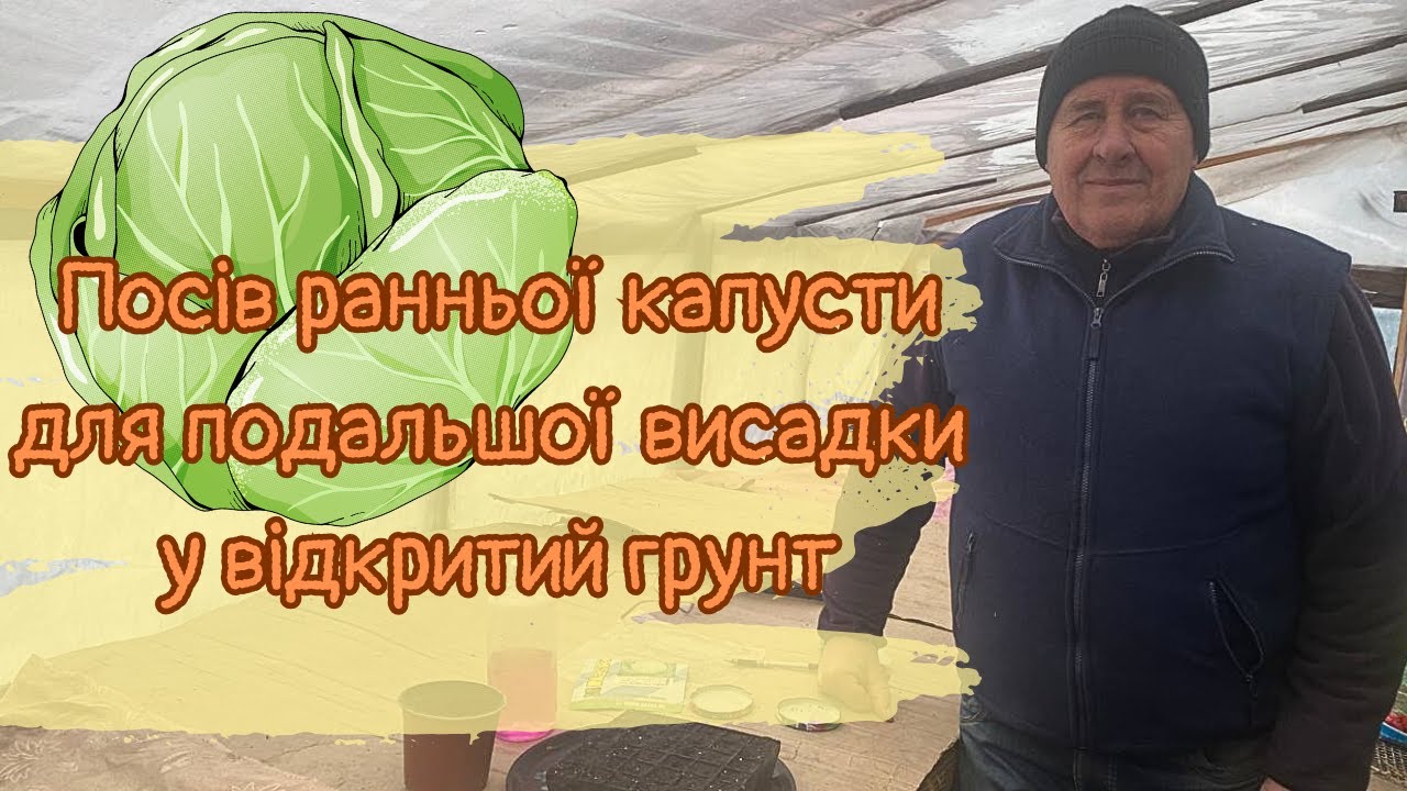 Посів ранньої капусти для подальшої висадки у відкритий грунт
