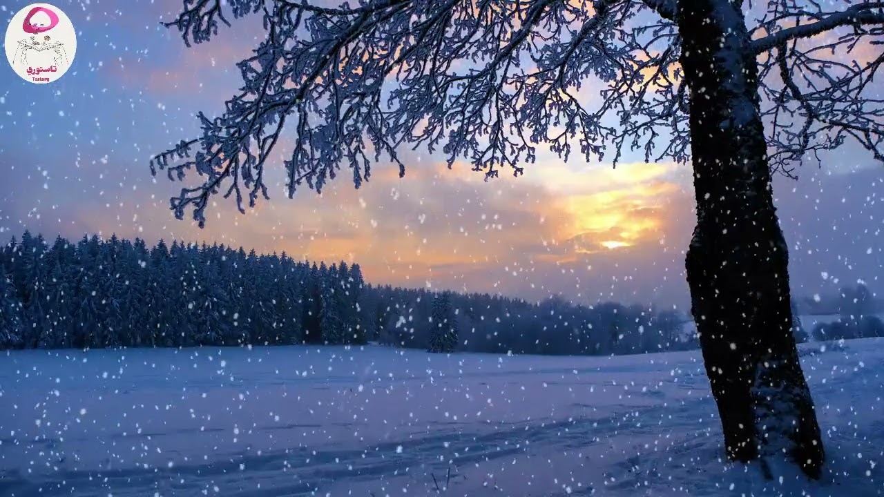 حموات من جهنم !! انتقمت من حماتي اللي دمرت حياتي