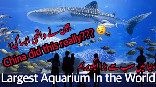 Chimelong Ocean Kingdom Zhuhai China 🇨🇳 | World’s Largest Aquarium in the World