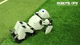 Simulasi Robot Sepak Bola menggunakan Darwin OP2 pada Webots