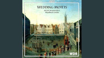 Der ehlich Stand a 8