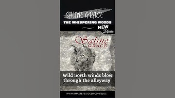 A dark wave post punk beat by @DeeperWatersRecords with a  brilliant, fragile fingerstyle guitar