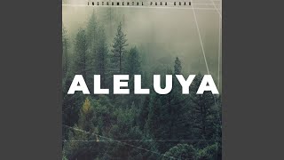Video thumbnail of "Instrumental Para Orar - Aleluya"