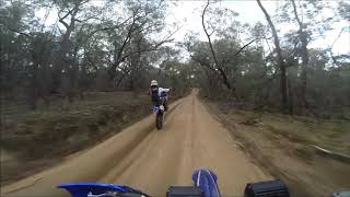 Anthony Wheelie Fx450